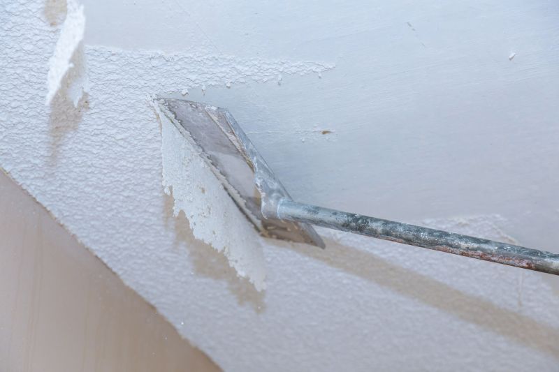 Ceiling Removal Service in Conroe, TX
