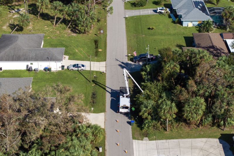 Christmas Tree Installation