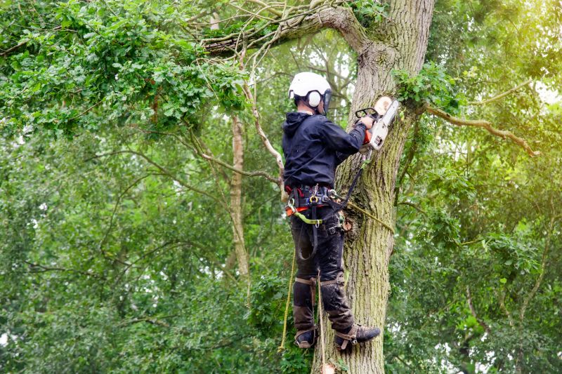 Tree Installation Specialists